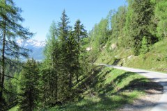 IMG_0916