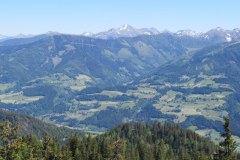 IMG_0926